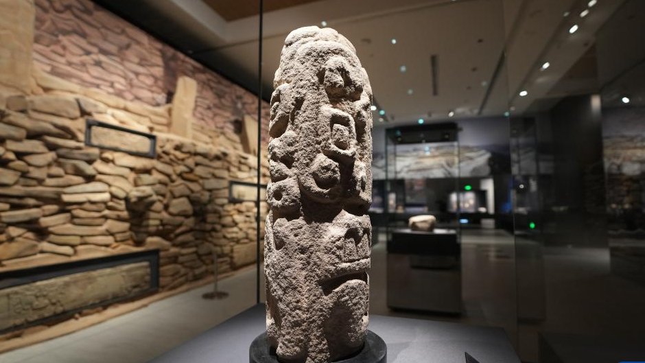 🏛️ 시부시 시 매장문화재 센터 (시부시시 마이조분카자이센타) 이미지 7